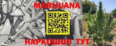 индика Конаково
